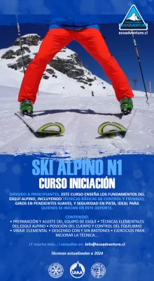 Ski Alpino N1